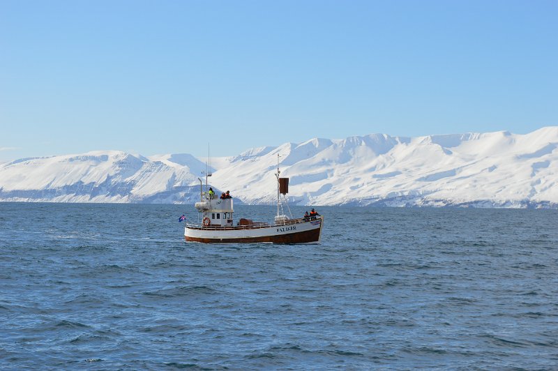 Husavik (34).JPG